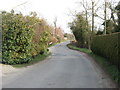 TM1699 : Hethel Road, Wreningham by David Purchase