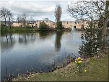 SP8633 : Huts, Bletchley Park, Milton Keynes, Buckinghamshire by Christine Matthews