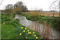 Footbridge over the River Avill