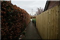 Path leading to The Spinney, Cottingham