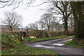 Mid Devon : Country Lane