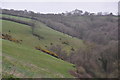 Mid Devon : Countryside Scenery