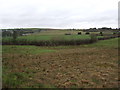 Rough grazing off Old Kiln Lane