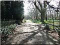 Driveway to Loudham Hall