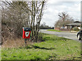 Doggie bin at the end of a popular dog-walk