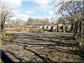 Old military buildings in Whitmore Wood