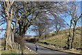 Uplawmoor Road near Cowdenmoor