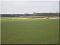 View towards Ashby de la Launde