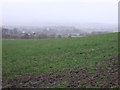 Farmland off Bolton Road