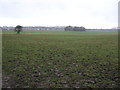 SD6707 : Farmland, Chew Moor  by JThomas