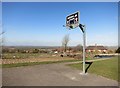 Basketball with a View