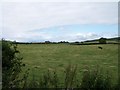 Grazing land fronting on to both Ballytrustan and Ballyculter roads