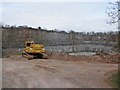 Disused quarry near Rodway