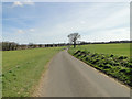 A road named Tinker Brook