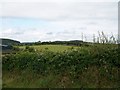 Pastureland at Ballyrenan Farm