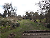 TG1908 : Gardens at Earlham Hall by Geographer