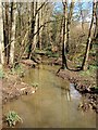 Unnamed Stream, Ashenground Park