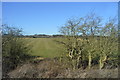 Farmland north of Oakham