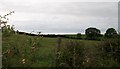 Undulating pasture land south of the Ballyculter Road