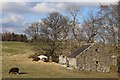 Derelict byre at  Abbots Deuglie