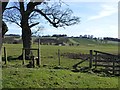 Footpath to Stanton