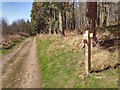 Public Footpath, West Wood