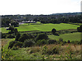 Carr Green primary school, Rastrick