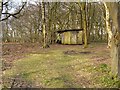 Hut in Gibson Wood