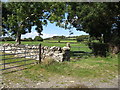 Field access gates leading from Chapeltown Road