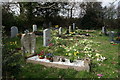 Gravestones  in Callestick Cemetery