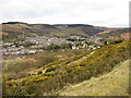 View over the gorse above the Rhondda Fawr valley