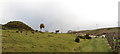 Upland view near Ystrad