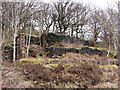 Ruined building in Cwm Rhondda Fach