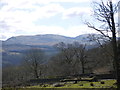 Welsh Hillside