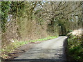 Lane from Bottom Pond Road to Rawling Street