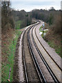 Hastings Line near Wood