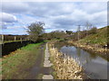 The canal near Prestolee Bridge