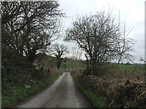 H9011 : Drumboy Road, Cullaville by Dean Molyneaux