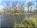 The main lake in Lordship Recreation Ground