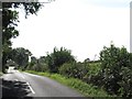 Saul Road heading in the direction of Downpatrick