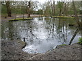 Highams Park lake