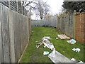 Litter strewn path, Upper Norwood