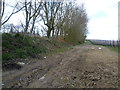 Bridleway near Highland Court Farm