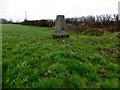 Farm Six Trig Point