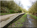 Platform at Ringley Road