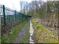 The canal towpath by Ringley Wood