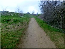 ST4716 : Footpath In Hamdon Hill Country Park by Rude Health 