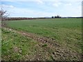 Farmland east of Fosfield Farm