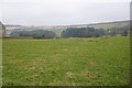 Green field at Stanbury