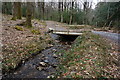 SX7879 : Bridge over Woodcock stream in Yarner Wood by jeff collins